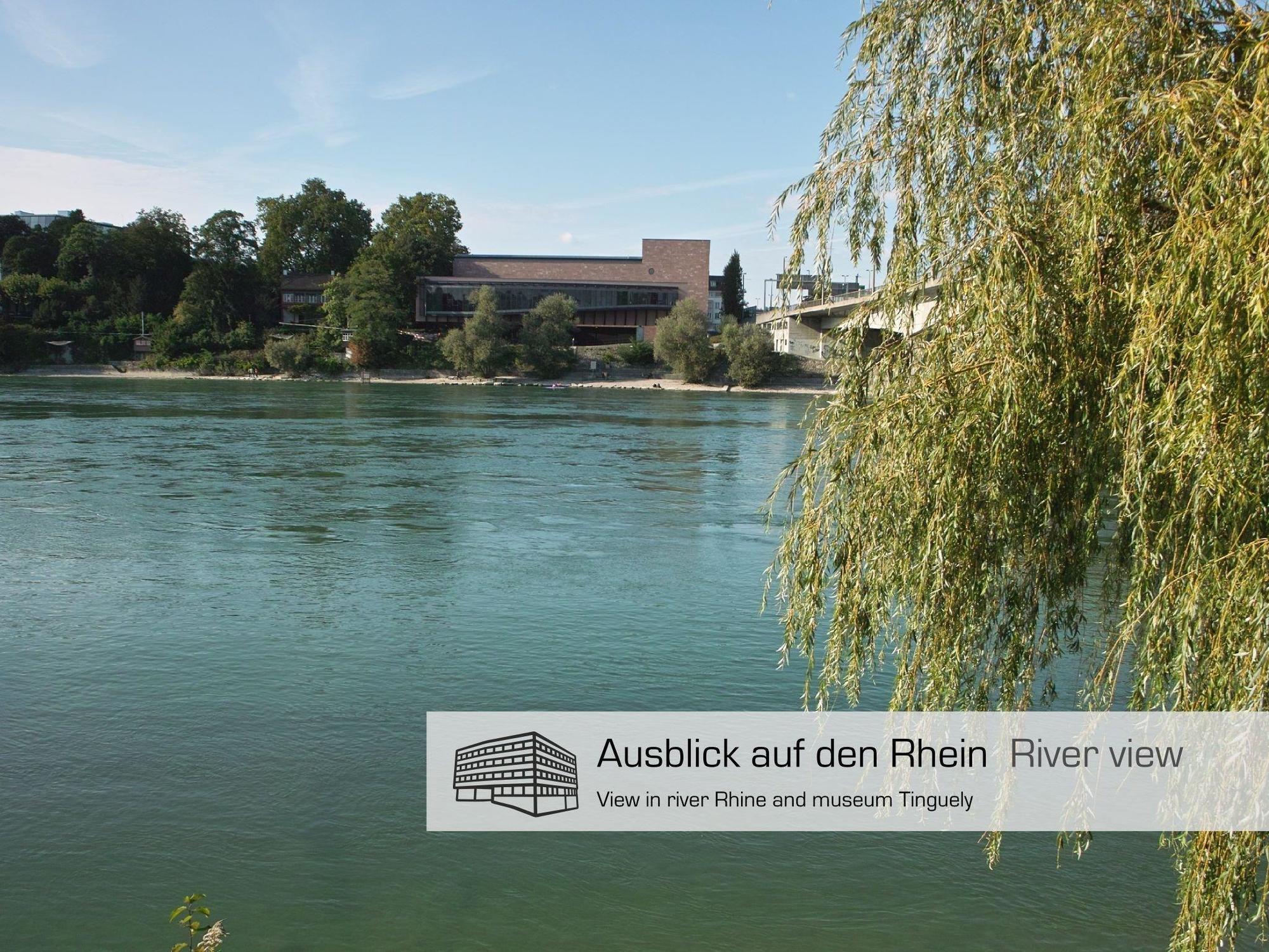 Dasbreitehotel Am Rhein Basileia Exterior foto